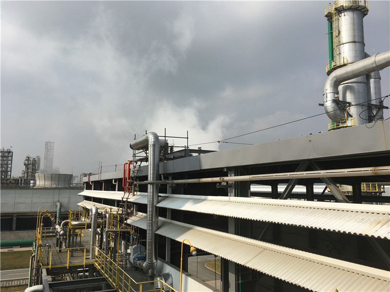 彭州石化二氧化碳消声器 (3).JPG